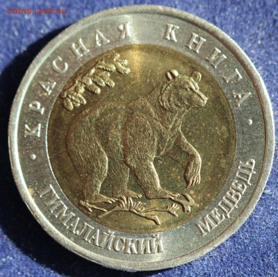 КРАСНАЯ КНИГА 50 руб.1993г. ГИМАЛАЙСКИЙ МЕДВЕДЬ  до 3.04. - IMG_5311.JPG