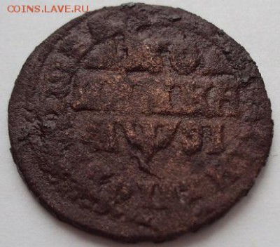 Копейки Петра 1 (1713,1716 гг.) - DSC00870.JPG