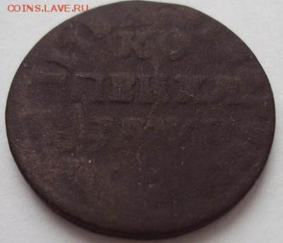 Копейки Петра 1 (1713,1716 гг.) - DSC00874.JPG