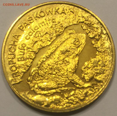 Польша 2 злотых 1998г Лягушка UNC - IMG_5829.JPG