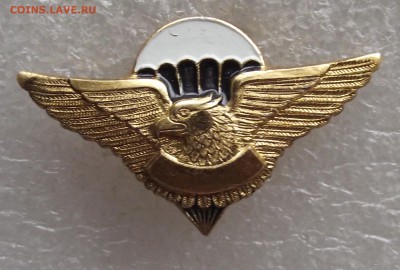 знак,крылышки,парашют,до 30.03.в 22.00мск - DSCF5984.JPG