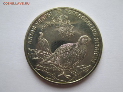 50 тенге 2006 г-Алтайский улар  мешковой - IMG_0231.JPG