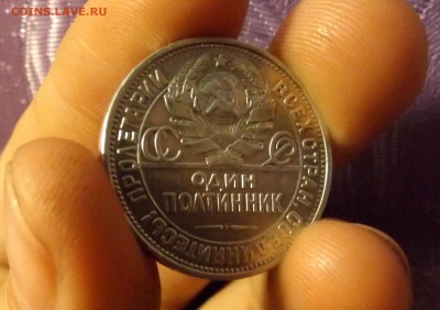 ПОЛТИННИК 1927           .         до 02.04.17 - DSCF6621.JPG