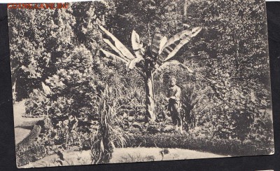 Россия ПК до 1917г Тифлис - 154