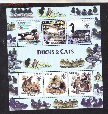 Конго фауна лист - 13