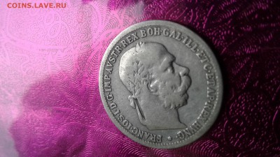Австрия 1 крона 1893 03.04.17 22:00 - 149085034696419433068