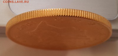 20$ долларов 1907г., золото. 33.40г - 20170330_063225
