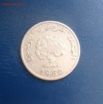 5 миллимов Тунис,до 31.03. - 20170330_123723