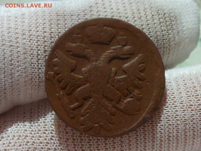 Денга 1738 - RSCN8384.JPG
