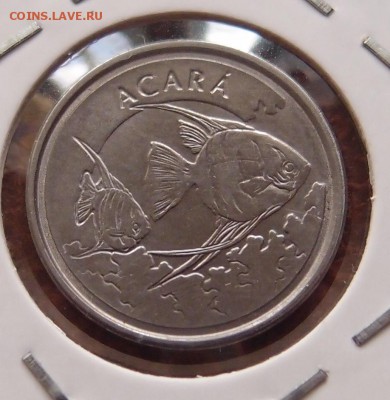 Монеты Бразилия Фикс. до 31.03 в 23,00 - P2175351.JPG
