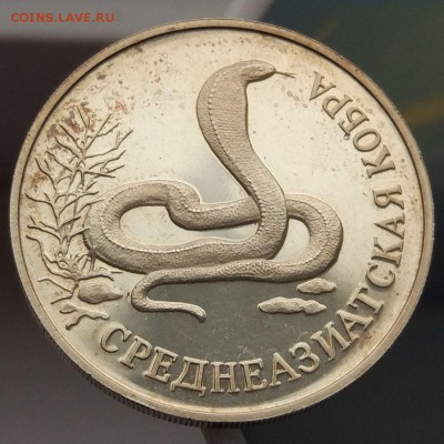 1 руб 1994 г. Среднеазиатская кобра -до 5.04. в 22:00 с 200р - IMG_20170302_103445