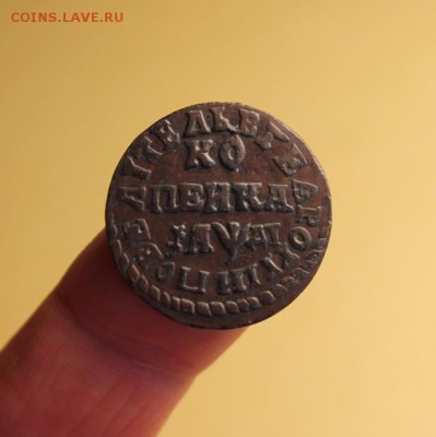 Копейка 1714г. МД. - Копейка 1714г. 2коп 1802г. 5 копеек 1726 027.JPG