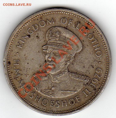 ЛЕСОТО ЛОТИ 1979 ДО 10.02.11 В 22.00МСК - img078
