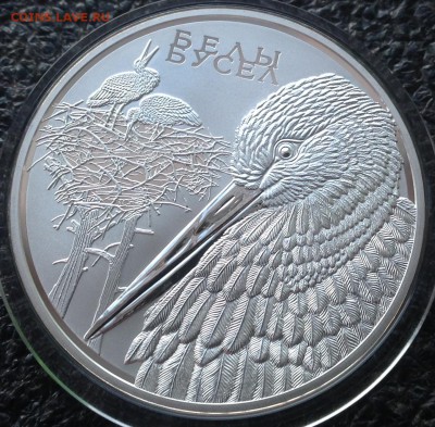 Белый аист 20 рублей 2009 г.до 2.4.17 в 22.00ти - IMG_8197.JPG