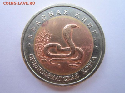 кк 1992 Кобра до 05.04.2017 в 22:30 - IMG_2910.JPG