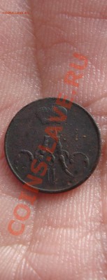 полушка 1856 ем. бодрая. до 22:00 11.02.11 - DSC06542.JPG