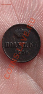 полушка 1856 ем. бодрая. до 22:00 11.02.11 - DSC06539.JPG