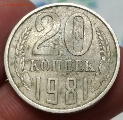 20 копеек 1981 - шт. 141 или 142 - 20170401_201853