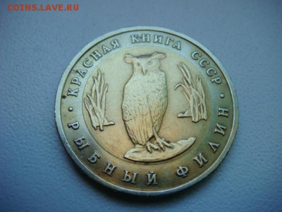 5 руб 1991г Рыбный Филин (Кр. Книга)  до 07.04.17  22.00 Мск - DSC01159.JPG