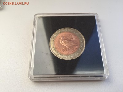 КРАСНАЯ КНИГА 1992 - IMG_0597.JPG