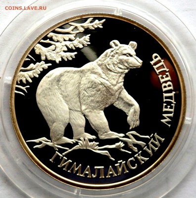 1 рубль "Красная книга "Гималай медведь" до 05.04.17 22-00 - P4020352.JPG