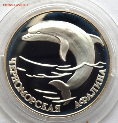 1 рубль "Кр. книга"Черноморская Афалина " до 05.04.17 22-00 - P4020365.JPG