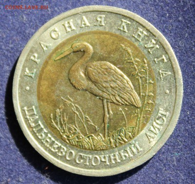 КРАСНАЯ КНИГА 50 руб.1993г. ДАЛЬНЕВОСТОЧНЫЙ АИСТ до 8.04. - IMG_5452.JPG