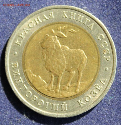 КРАСНАЯ КНИГА 5 руб.1991г. ВИНТОРОГИЙ КОЗЕЛ до 8.04. - IMG_5450.JPG