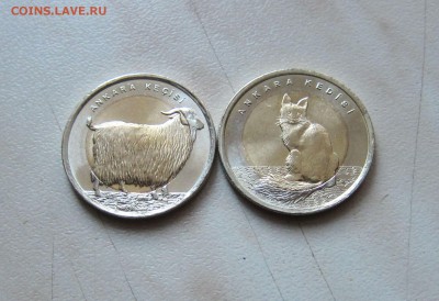 ТУРЦИЯ.КК 2015. КОШКА И КОЗА(UNC,2шт.) 04.04. 15-00мск - Кошка_Коза_1