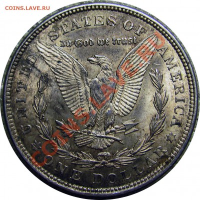 N90 Morgan Dollar 1921 EF-AU до 12.02 в 22°° - N90 Morgan Dollar 1921 EF_AU_2