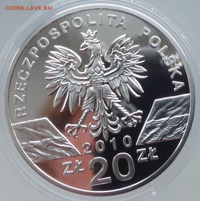 Летучая мышь Польша 20 злотый 2010 до9.4.17в22.00 старт 1000 - IMG_8147.JPG