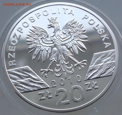 Летучая мышь Польша 20 злотый 2010 до9.4.17в22.00 старт 1000 - IMG_8148.JPG