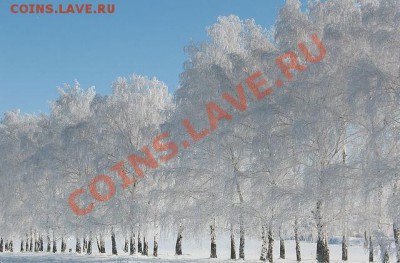 Подарки от moigala: 10р. юбилейка 2010г. - Берёзы_01