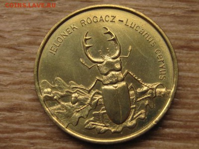 ..Польша 2 злотых 1997 Жук до 06.04.17 в 22.00 М - IMG_5979.JPG