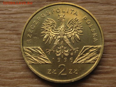 Польша 2 злотых 1996 Ёж до 06.04.17 в 22.00 М - IMG_5990.JPG
