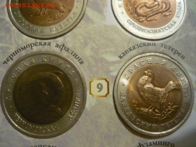Набор «Красная Книга» серия 1991-1994г., 15шт - P1040302.JPG
