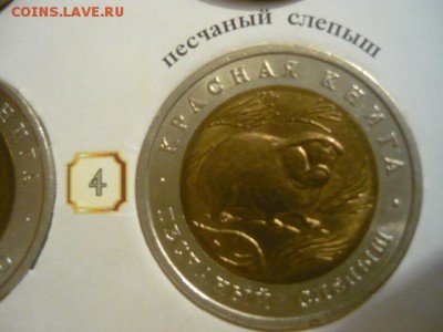 Набор «Красная Книга» серия 1991-1994г., 15шт - P1040306.JPG
