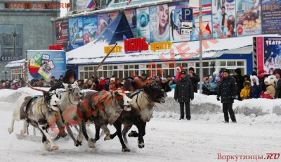Подарки от moigala: 10р. юбилейка 2010г. - оленьи бега в День Оленевода