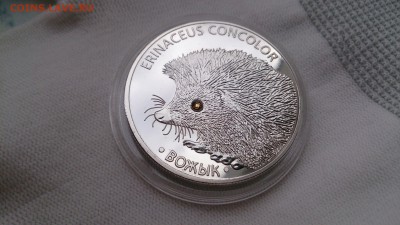Серебро Белоруссии,10 и 20 рублей оценка - DSC_0265.JPG