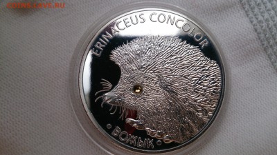 Серебро Белоруссии,10 и 20 рублей оценка - DSC_0263.JPG