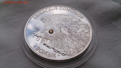 Серебро Белоруссии,10 и 20 рублей оценка - DSC_0262.JPG
