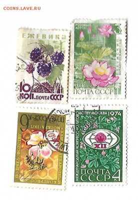 марки ссср (флора) 1966-74  08.04.17 22-00 - 4флора