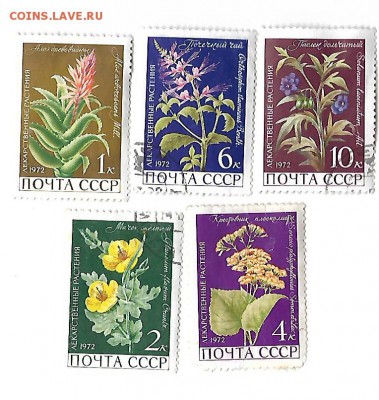 марки ссср (флора) 1966-74  08.04.17 22-00 - 2флора