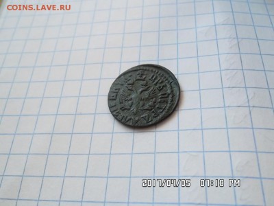 полушка 1707 года - SAM_3938.JPG