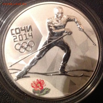 Лыжные гонки 2014 г. 3 рубля до 9.4.17 в 22.00 - IMG_8246.JPG