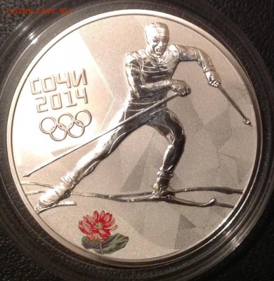 Лыжные гонки 2014 г. 3 рубля до 9.4.17 в 22.00 - IMG_8245.JPG