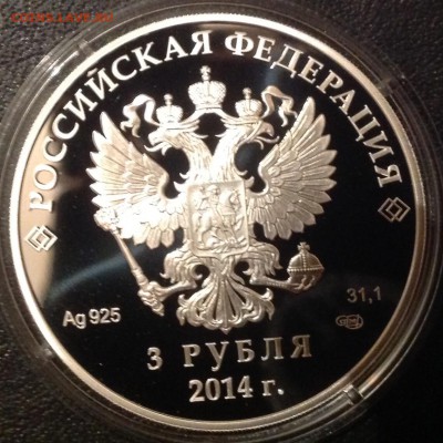 Лыжные гонки 2014 г. 3 рубля до 9.4.17 в 22.00 - IMG_8244.JPG