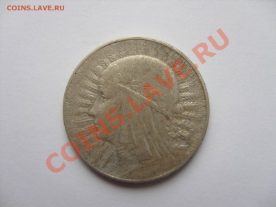 5 злотых. Ядвига. Польша. 1933 год. Серебро. Хороший сохран. - 5 злотых 1933 - 2.JPG