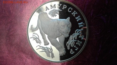 1 рубль 1993 амурский тигр серебро пруф. 10.04.17 22:00 - 14914765342811104932707