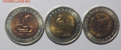 Красная книга 1992 г-3 шт до 8,04 до 23,00 - 022.JPG